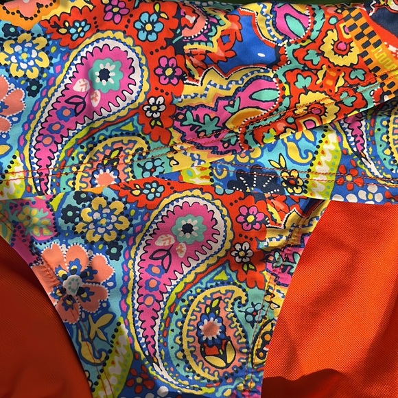 Paisley Bikini - Picture 3 of 8